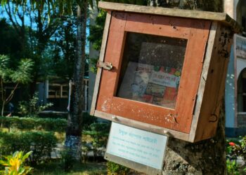 বইভব আছে নেই পাঠক : ক্রমেই বাড়ছে পাঠবিমুখতা