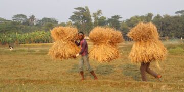হেমন্তের একাল-সেকাল
